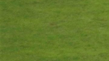 Jugadores de Perú celebran al final del partido contra Bolivia en la Copa América.