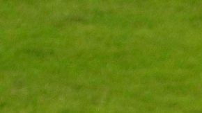 Lionel Messi celebra un gol para Argentina frente a Paraguay en la Copa América.