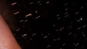 Miles de aficionados del Real Mallorca celebran en  Palma de Mallorca el ascenso a Primera de su equipo.