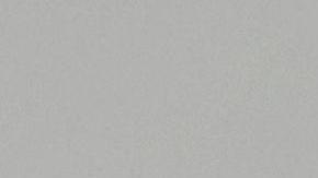 El hasta ahora director en funciones del Servicio de Inmigración y Aduanas (ICE, en inglés), Mark Morgan, asumirá el control de la Patrulla Fronteriza (CBP, en inglés), en medio de las denuncias sobre las condiciones de detención de menores en el país.