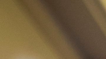 Hiroshi Shimizu es presidente del Comité Tule Lake, campo de concentración que se instaló en California y que llegó a albergar a cerca de 18.000 personas. EPA/JIM LO SCALZO