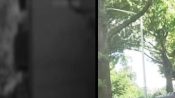 Auto volcado en acera de El Bronx