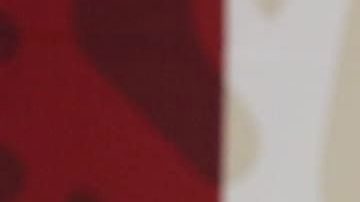 Andrés Manuel López Obrador.