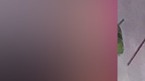 Adamari López en "Un nuevo día"