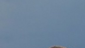 Edith González y Aracely Arámbula