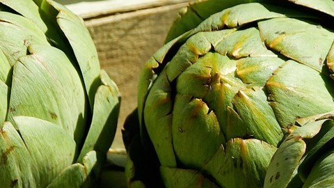 alcachofa