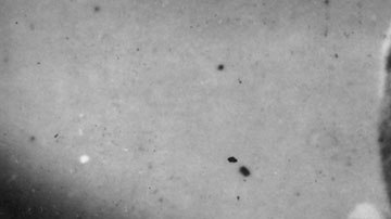 Babe Ruth sigue batiendo récords, aun después de muerto.