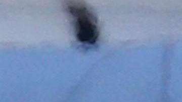 Alex Rodriguez y Jennifer López.