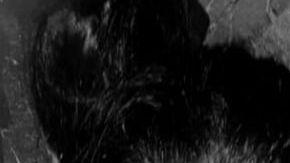 Cae mujer sicario cercana al Escorpión 2