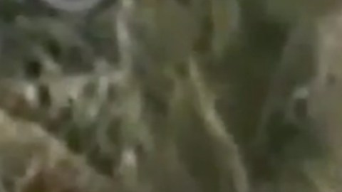 La mujer amenazó a la madre con quitarle la custodia de su hijo.