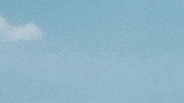 Es un mundo de autos abandonados