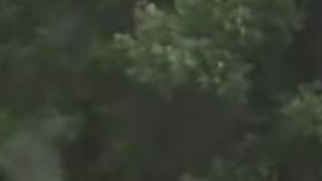 La serpiente al pasar por las cabezas de la pareja.