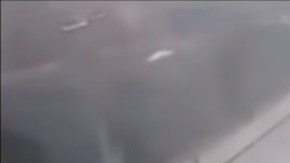 Joao Maleck impactó con su Mustang la parte trasera del vehículo donde viajaba la pareja de recién casados