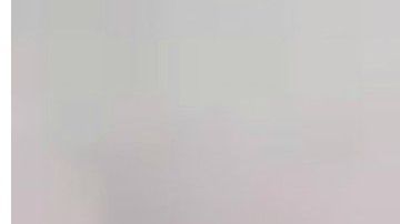 El video trascendió en febrero pasado.