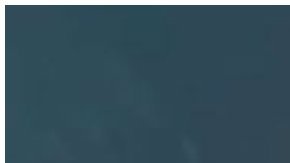 El tiburón con la cola cortada intenta seguir nadando.