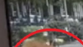 Melissa Francis es comentarista de Fox News (círculo rojo).