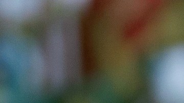 Oswaldo Alanís firmó un contrato por cuatro años con las Chivas del Guadalajara