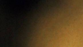 Serpiente cabeza de cobre.