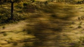 La marca británica y la marca alemana se unen para desarrollar tecnología eléctrica