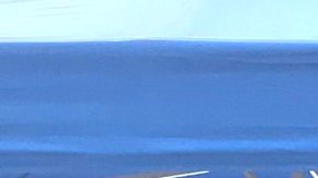 “Este es el momento cuando los  inmigrantes no deben correrle al gobierno sino manifestarse para ser contados”, dijo Angélica Salas, directora de CHIRLA.  (Suministrada)