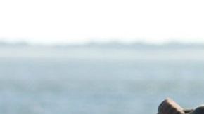 Channing Tatum y Amanda Seyfried en "Dear John"