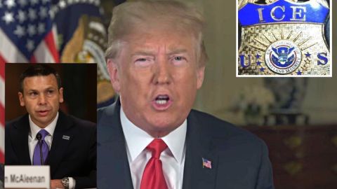 donaldtrump_ice-1-1 (1)