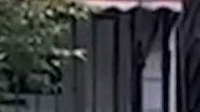 Los hechos ocurrieron el sábado en la tarde.