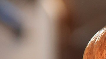 Los cuerpos estaban semienterrados en fosas de 50 centímetros de profundidad. Imagen sólo con fines ilustrativos.