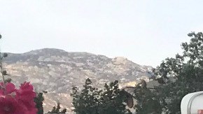 Armas y fuegos pirotécnicos fueron decomisados.