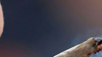 Gael García gusta de fumar marihuana.