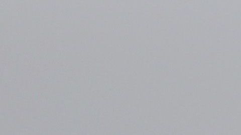 En Hidalgo, Texas, ha aumentado el cruce de indocumentados, indican autoridades locales.