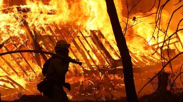 Los fuertes incendios han dañado edificaciones y han obligado a que miles sean evacuados.