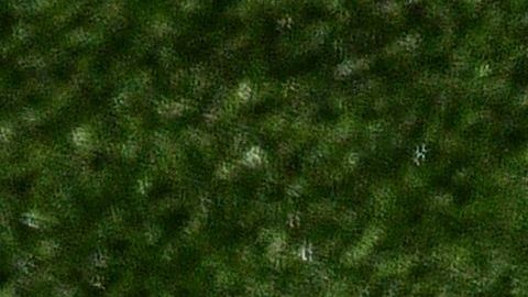 Gianluigi Buffon en el Parc Des Princes.