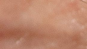 El presidente Trump impondrá impuestos a productos mexicanos.