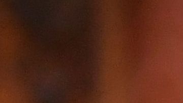 La Reina Isabel II dio un recorrido a la pareja presidencial por la sala de colección de artefactos estadounidenses.