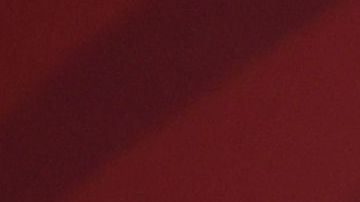 El canciller Marcelo Ebrard