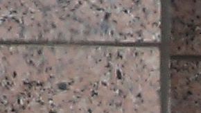 La puerta baleada en la corte de Dallas.