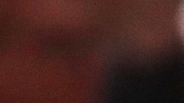 Fred VanVleet y Nick Nurse.