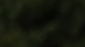 Rich Lindgren coloca 12 banderas en un memorial por los fallecidos.