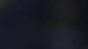 Zlatan Ibrahimovic en el Stub Hub Center.