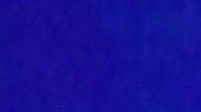 Candidatos a la nominación demócrata Vice Presidente Joe Biden, el Sen. Bernie Sanders y la Sen. Kamala Harris.