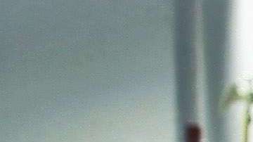 Congresistas republicanos piden explicaciones a TSA