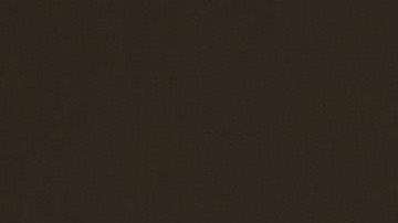 Los oficiales de USCIS critican política contra peticionarios de asilo.