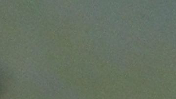 La medida posibilitaría continuar la construcción de tramos del muro en Arizona y Texas