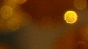 El matrimonio igualitario es legal en todo Estados Unidos desde 2015.