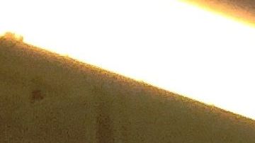 Un portador de "green card" podría perder su tarjeta si vota.