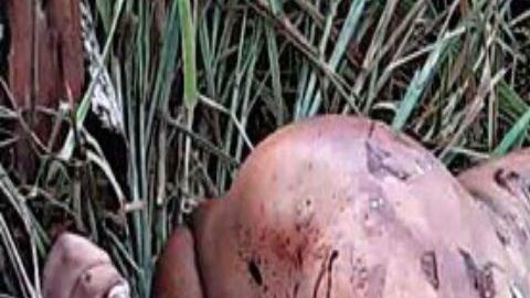 Guerra entre huachicoleros y narcos deja dos torturados; al parecer les arrancaron la piel