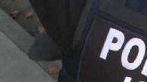 ICE podría realizar el gran operativo la siguiente semana.