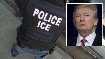 A mediados de junio, Trump dijo por Twitter que el ICE iniciaría un proceso para deportar a "millones" de indocumentados.