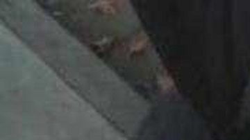 El presidente Trump señala que si demócratas no responden ordenará gran operativo.